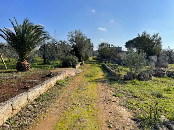 terreno agricolo in vendita ad Ugento