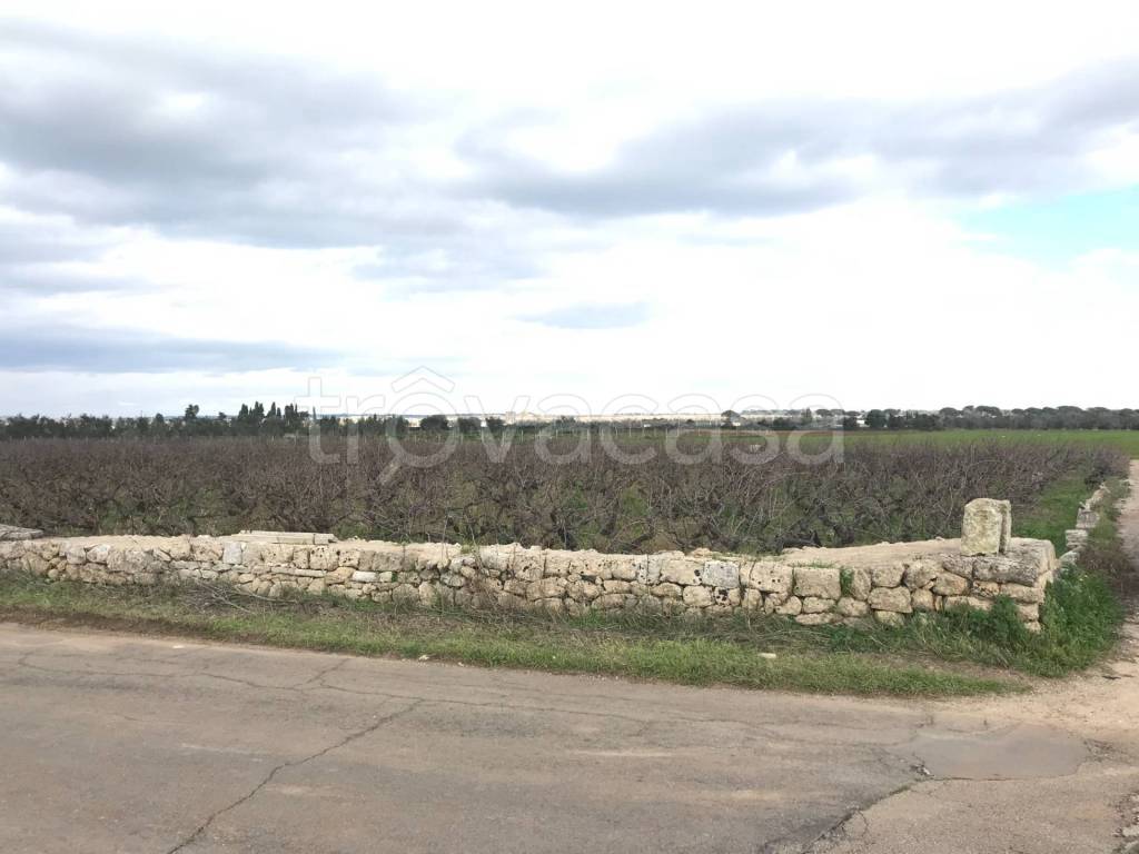 terreno agricolo in vendita ad Ugento