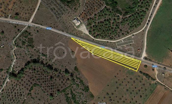 terreno agricolo in vendita ad Ugento