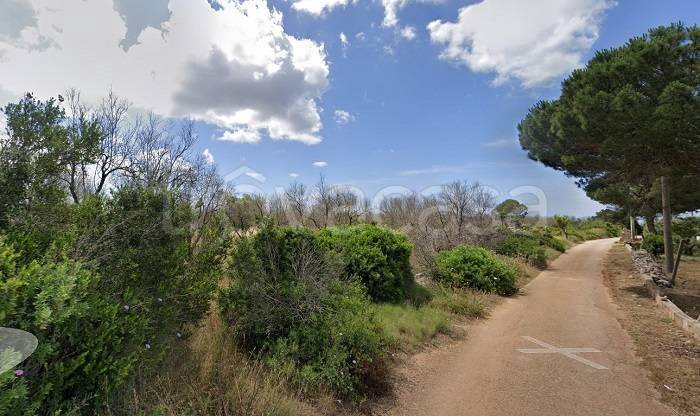 terreno agricolo in vendita ad Ugento