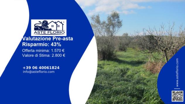 terreno agricolo in vendita ad Ugento in zona Torre Mozza