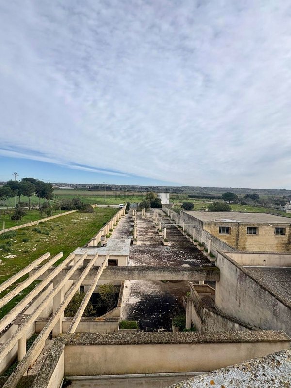 terreno edificabile in vendita ad Ugento in zona Torre San Giovanni