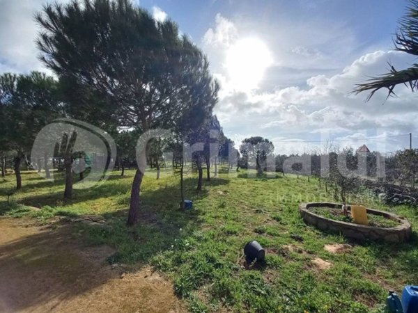 terreno agricolo in vendita ad Ugento