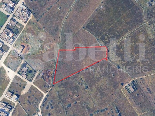 terreno agricolo in vendita ad Ugento in zona Torre San Giovanni