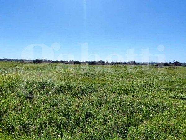 terreno agricolo in vendita ad Ugento in zona Torre San Giovanni