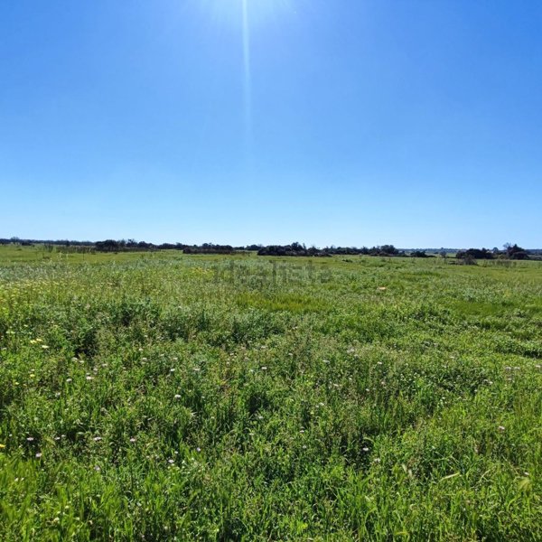 terreno edificabile in vendita ad Ugento in zona Torre San Giovanni