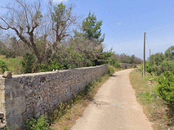 terreno agricolo in vendita ad Ugento