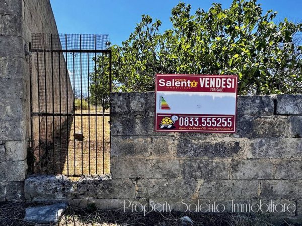terreno agricolo in vendita ad Ugento