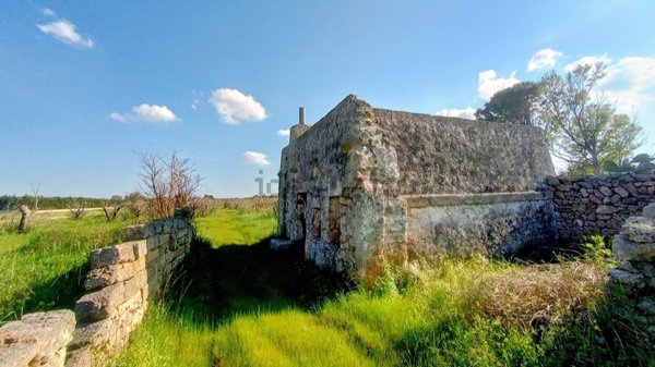 terreno agricolo in vendita ad Ugento