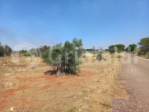 terreno agricolo in vendita ad Ugento