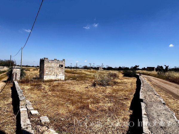 terreno agricolo in vendita ad Ugento