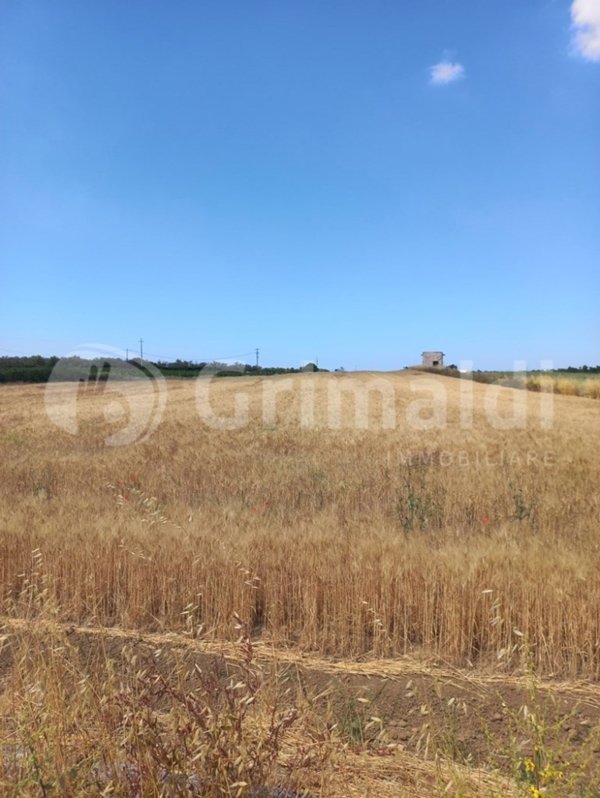 terreno in vendita ad Ugento