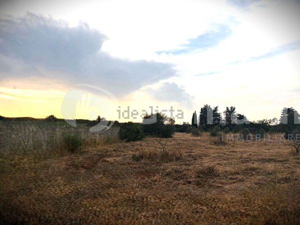 terreno agricolo in vendita ad Ugento