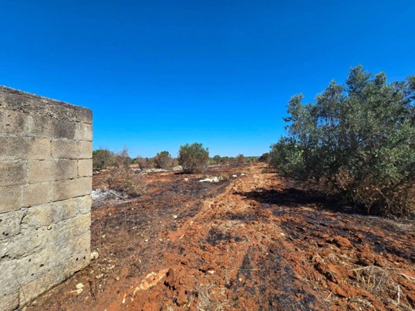 terreno agricolo in vendita ad Ugento