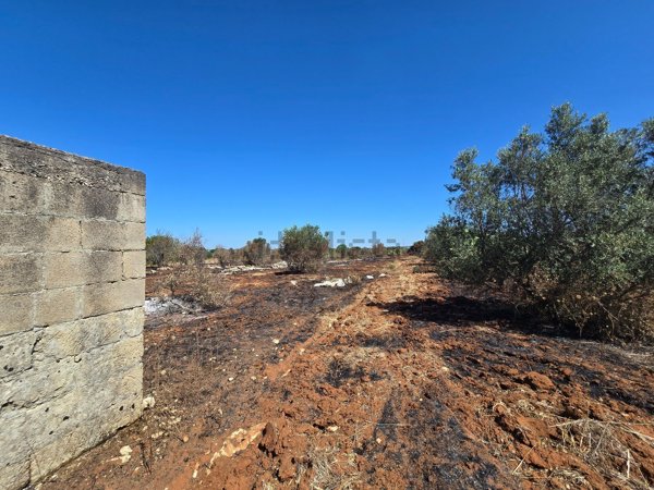 terreno agricolo in vendita ad Ugento