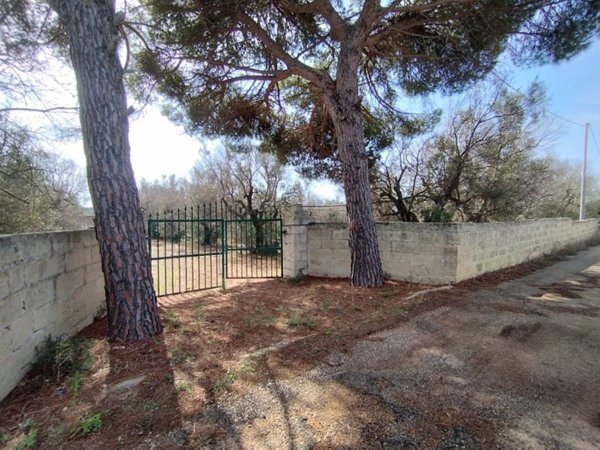 terreno agricolo in vendita ad Ugento