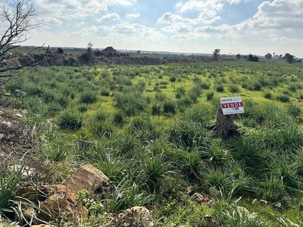 terreno in vendita ad Ugento