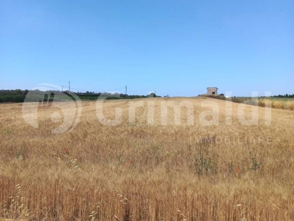 terreno in vendita ad Ugento