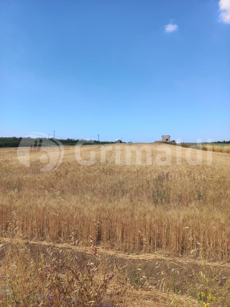 terreno in vendita ad Ugento
