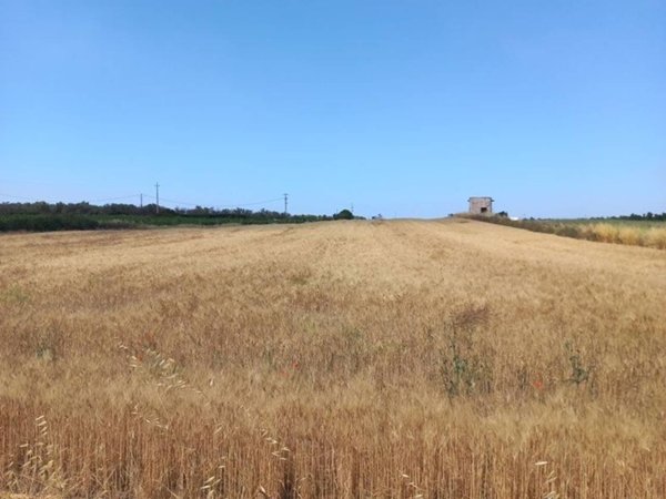 terreno in vendita ad Ugento