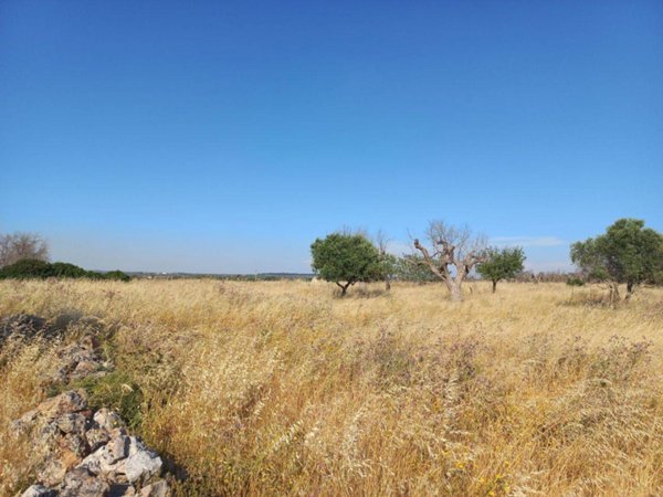 terreno in vendita ad Ugento