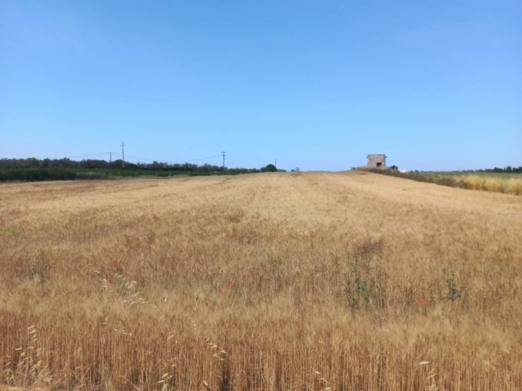 terreno in vendita ad Ugento