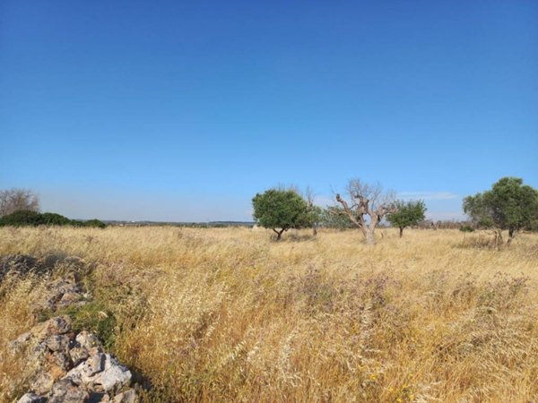 terreno in vendita ad Ugento