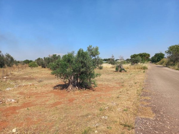 terreno in vendita ad Ugento