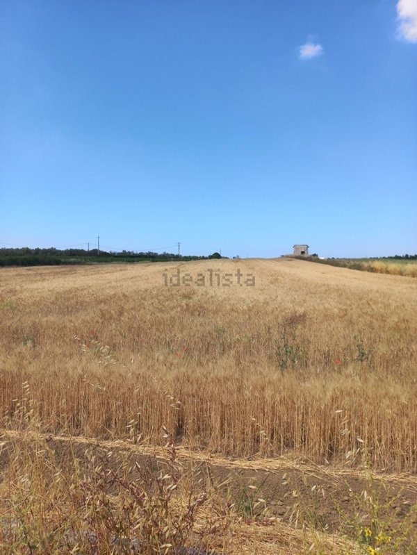 terreno in vendita ad Ugento