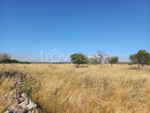 terreno in vendita ad Ugento