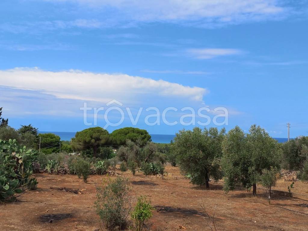 casa indipendente in vendita ad Ugento