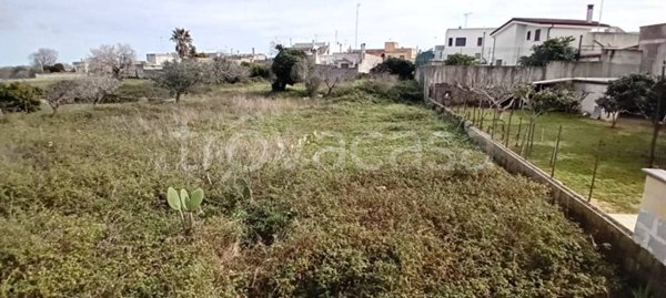 terreno agricolo in vendita ad Uggiano la Chiesa