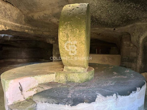 terreno agricolo in vendita ad Uggiano la Chiesa