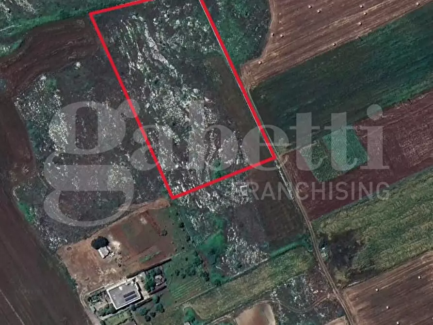 terreno agricolo in vendita ad Uggiano la Chiesa