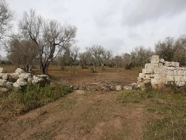 terreno agricolo in vendita ad Uggiano la Chiesa
