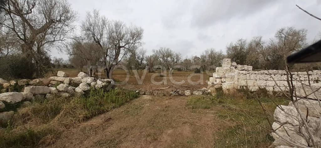 terreno agricolo in vendita ad Uggiano la Chiesa