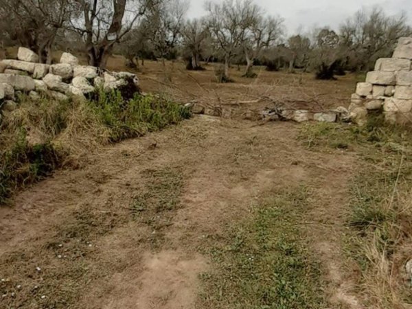 terreno agricolo in vendita ad Uggiano la Chiesa