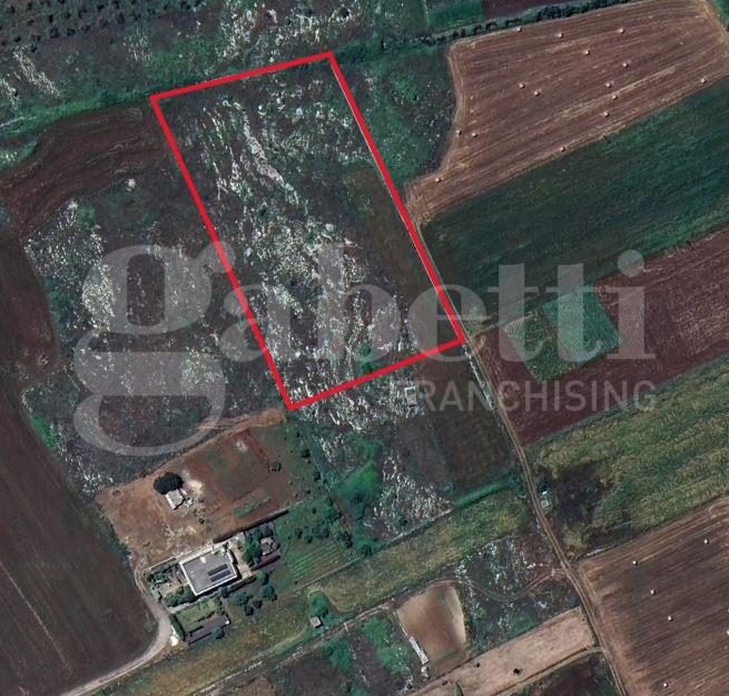 terreno agricolo in vendita ad Uggiano la Chiesa