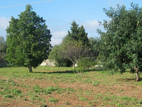 casa indipendente in vendita ad Uggiano la Chiesa