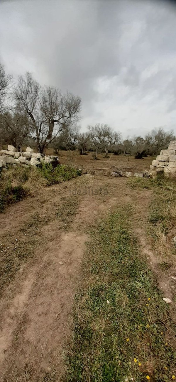 casa indipendente in vendita ad Uggiano la Chiesa