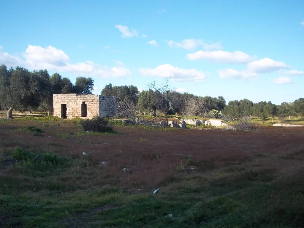 casa indipendente in vendita a Veglie