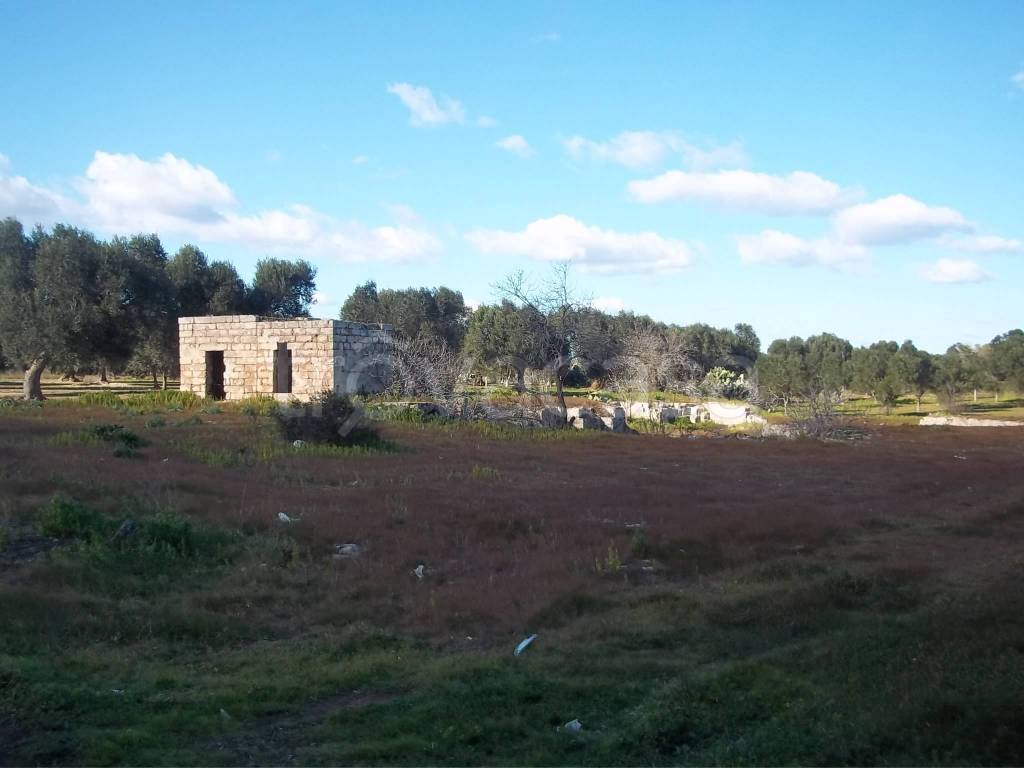 casa indipendente in vendita a Veglie