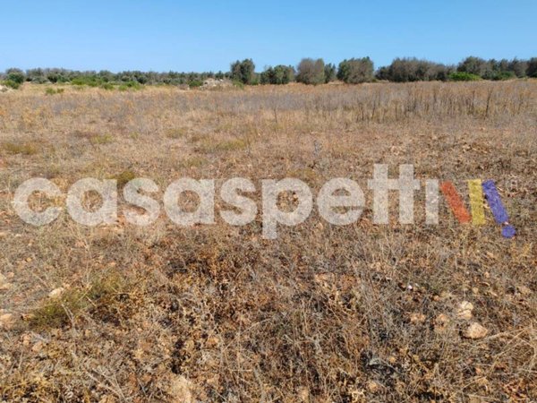 terreno agricolo in vendita a Veglie