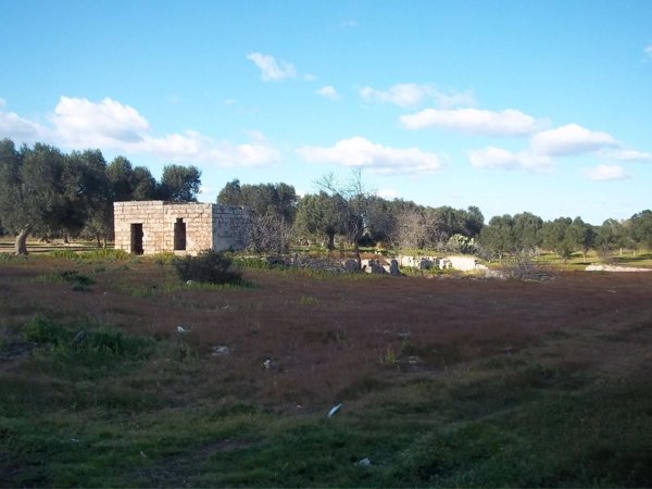 appartamento in vendita a Veglie