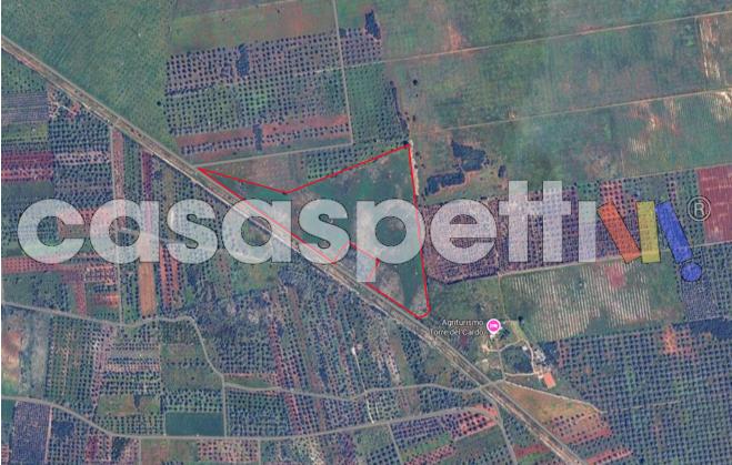 terreno agricolo in vendita a Veglie