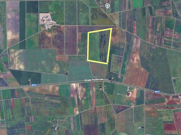 terreno agricolo in vendita a Veglie