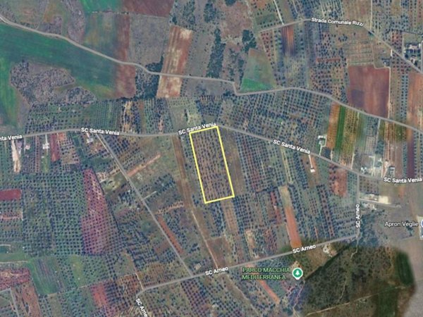 terreno agricolo in vendita a Veglie