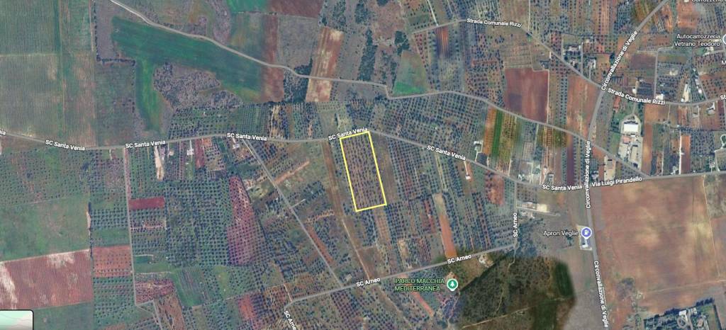 terreno agricolo in vendita a Veglie