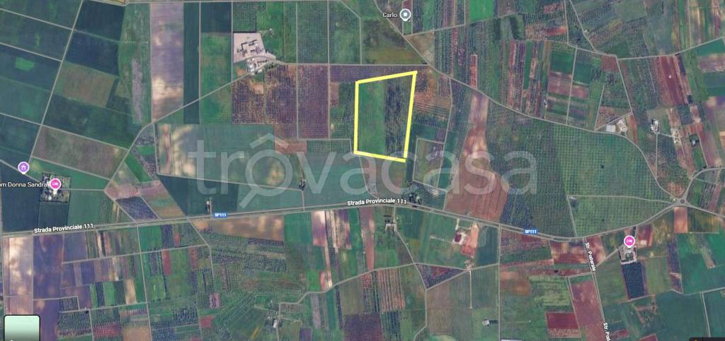terreno agricolo in vendita a Veglie