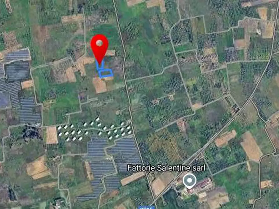 terreno agricolo in vendita a Veglie